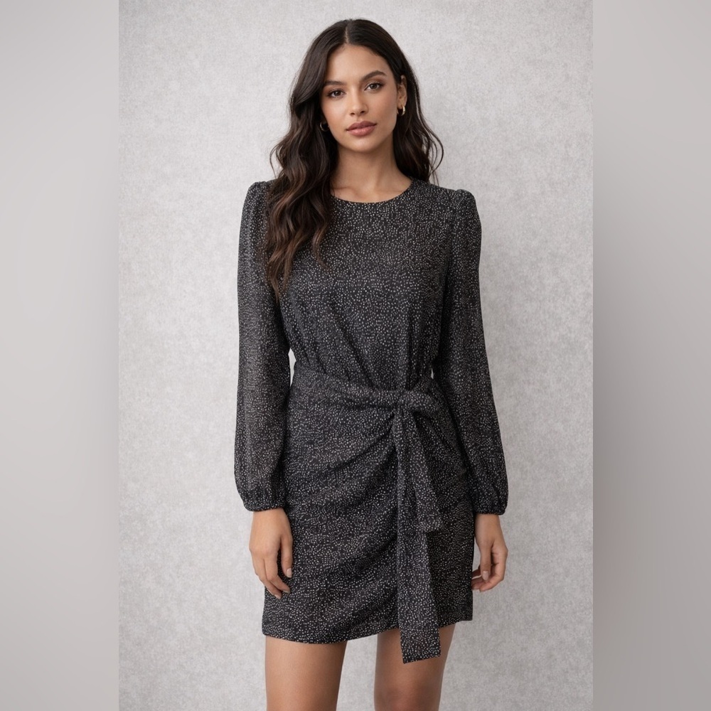 Zara Black Polka Dot Sheer Long Sleeve Womens Size S Black White